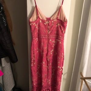 gianni bini camilla lace dress